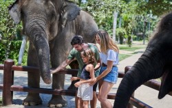 Elephant Bathe & Breakfast Tour by Mason Elephant Park, Interaction with Elephants