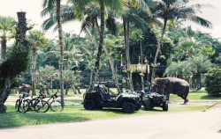 Elephant Park Visit Packages by Mason Elephant Park, Elephants Park