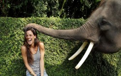 Meet And Greet With Elephants,Fun Adventures,Elephant Park Visit Packages by Mason Elephant Park