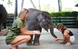 Elephants Calf,Fun Adventures,Elephant Bathe & Breakfast Tour by Mason Elephant Park