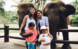 Elephant Park Visit Packages by Mason Elephant Park, Take Pictures With Elephants