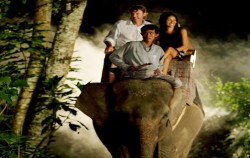 Night Safari Packages by Mason Elephant Park, Night Safari Jungle