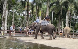Riding Around Elephant Lake,Fun Adventures,Elephant Safari Ride Packages by Mason Elephant Park