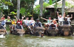 Elephant Safari Ride Packages by Mason Elephant Park, Riding Through The Lake