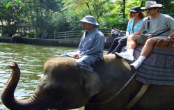 Riding Through The Lake image, Elephant Safari Ride Packages by Mason Elephant Park, Fun Adventures