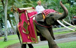 Safari Ride With Costume image, Elephant Safari Ride Packages by Mason Elephant Park, Fun Adventures