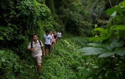 Forest Trekking,Fun Adventures,Adventures Packages by The Mason Adventure