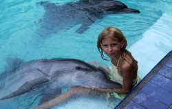 Dolphins Interactive at Melka Hotel Lovina, Bali Dolphins Tour, Melka Dolphin
