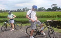 Rice Field View image, Bali Breeze Cycling Tour, Bali Cycling