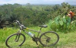 Bali Breeze Cycling Tour, Nature Fun Bike