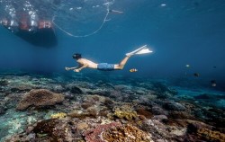  image, Play Boat Tours by Morin, Bali Boats Charter