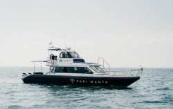 ,Bali Boats Charter,Speed Boat Tours by Morin