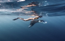,Bali Boats Charter,Speed Boat Tours by Morin