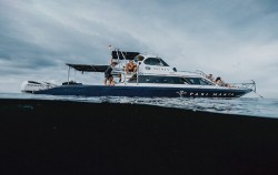 image, Speed Boat Tours by Morin, Lembongan Fast boats