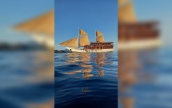 Boat,Komodo Open Trips,Komodo Open Trip 3D2N by My Moon Phinisi