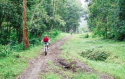 Nature Track,Bali 2 Combined Tours,Cycling & Spa Package