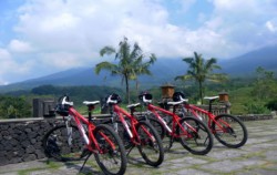 Nature View image, Cycling Tour by BiO, Bali Cycling