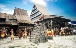 Stone Jumping image, Nias Island Tour 3 Days 2 Nights, Sumatra Adventure