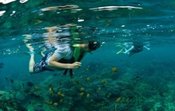 Nusa Penida Snorkeling image, One Day Snorkeling Trip to Nusa Penida, Nusa Penida Packages