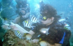 Bali Diving Activities, Nusa Lembongan Diving Sites