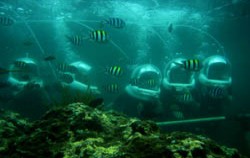 Bali Ocean Walker, Bali Submarine, Diving View