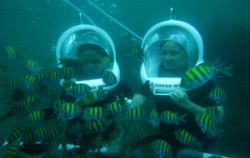 Diving View image, Bali Ocean Walker, Benoa Marine Sport