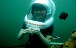 Under water,Benoa Marine Sport,Bali Ocean Walker