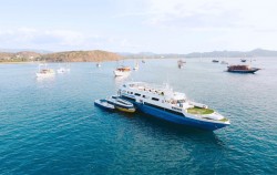 Boat,Komodo Open Trips,Open Trip 3D2N by Ocean Angel Liveaboard