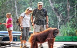 Orangutan and Dayak Explore 5 Days 4 Nights, Camp Leakey