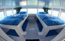 Sharing Cabin,Komodo Boats Charter,Osiana Alo Liveaboard Private Trips