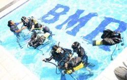 Padi Dive,Bali Diving,Diving Activities by BMR