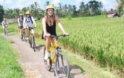 Passing rice field image, Cycling, Elephant Ride and ATV Ride, Bali 3 Combined Tours