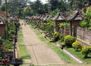 Penglipuran Village View