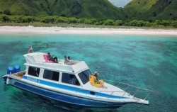 Komodo Charter 3D2N by Yacht or Speed Boat, Speed Boat no AC