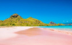 Pink Beach,Komodo Adventure,Komodo - Gili Laba Tour 4 Days 3 Nights