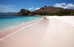 Pink Beach,Komodo Adventure,Komodo Tour 5 Days 4 Nights