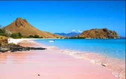 One Day Trip to Komodo Island, Pink Beach