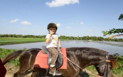 Pony Ride,Bali Horse Riding,Bali Horse Riding at Pererenan