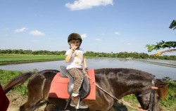 Bali Horse Riding at Pererenan, Pony Ride