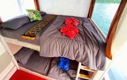 Share Cabin image, Princess Lala Phinisi Charter, Komodo Boats Charter