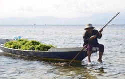 Private Charter Mangrove Tour image, The Waka Cruises, Bali Cruise