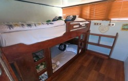 Share Cabin,Komodo Boats Charter,Private Trip by Putri Anjani Superior Phinisi