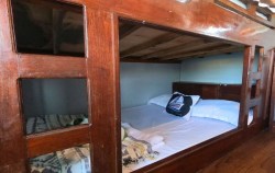 Share Cabin 2,Komodo Boats Charter,Private Trip by Putri Anjani Superior Phinisi
