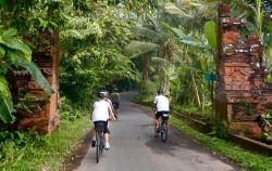 Quiet track,Bali 3 Combined Tours,Cycling, Elephant Ride & Spa Package