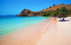 Sailing Komodo and Wae Rebo 5 Days 3 Nights, Red Beach