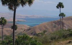 Sailing Komodo Adventure 3D2N Tours , Komodo Adventure, Rinca Island