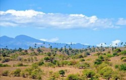 Sailing Komodo and Wae Rebo 5 Days 3 Nights, Rinca Island