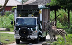 Bali Safari & Marine Park Package, Bali Safari Marine Park, Safari Journey