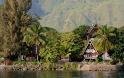 Bukit Lawang and Lake Toba Tour 6 Days, Samosir Island