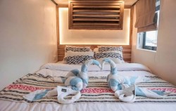 Turtle Room,Komodo Open Trips,Komodo Open Trip 3D2N by Sea Familia Luxury Phinisi